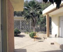 Malick Ndao, l'homme qui voulait se suicider devant le palais, interné à l'hopital psychiatrique de Thiaroye