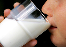 Le lait : Un compagnon indispensable d’une alimentation équilibrée !