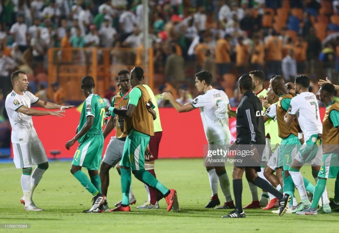 PHOTOS - Finale Sénégal-Algérie (0-1): Les "Fennecs" brisent le rêve des "Lions"