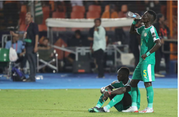 Finale CAN 2019: Les images des "Lions" après le coup de sifflet final