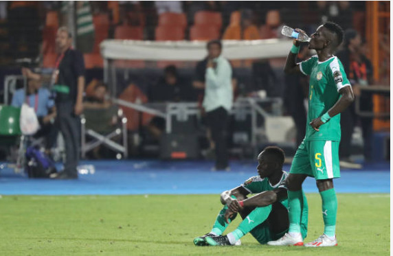 Finale CAN 2019: Les images des "Lions" après le coup de sifflet final Finale CAN 2019: Les images des "Lions" après le coup de sifflet final