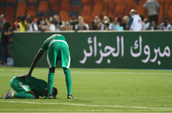 Finale CAN 2019: Les images des "Lions" après le coup de sifflet final