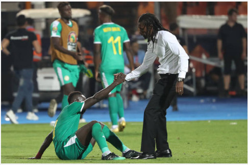 Finale CAN 2019: Les images des "Lions" après le coup de sifflet final