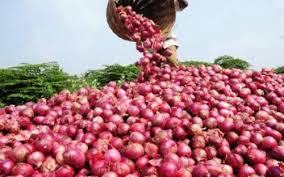 Hausse des prix de l’oignon et de la pomme de terre