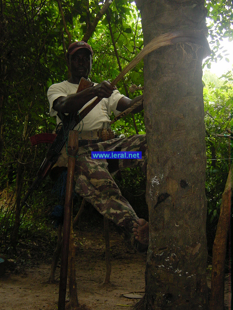 [Photos Exclusives] LERAL.NET dans l'intimité du MFDC