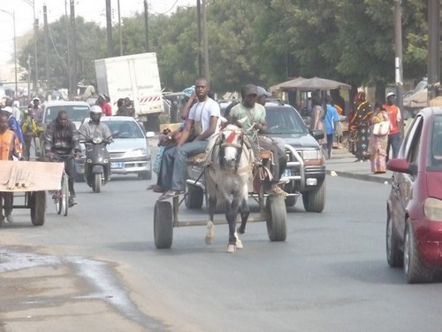 GREVE DES TRANSPORTEURS : Dakar roule en charrette et en Jakarta