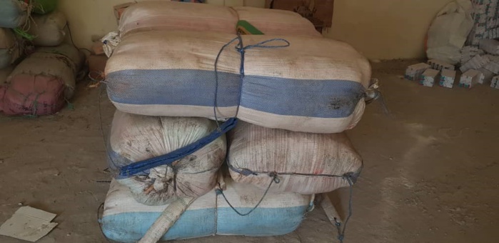 Kaolack: 300 kg de chanvre indien saisis par la Douane Kaolack: 300 kg de chanvre indien saisis par la Douane