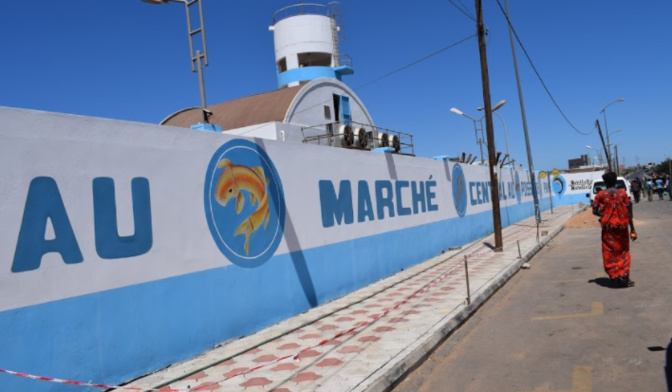 Marché au poisson de Pikine : l’opération Tabaski finit en queue de poisson