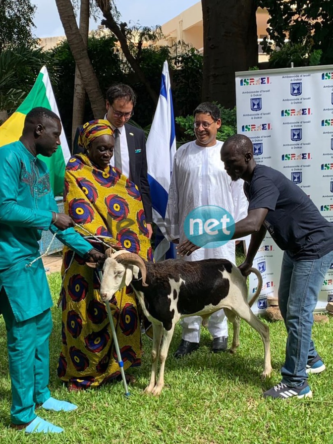 Photos: Don de moutons aux nécessiteux par l'Ambassadeur d’Israël au Sénégal 