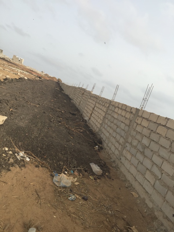 Victimes de Cité Tobago: La restitution des 366 titres fonciers aux ayants-droit bute sur le veto de l’armée Victimes de Cité Tobago: La restitution des 366 titres fonciers aux ayants-droit bute sur le veto de l’armée