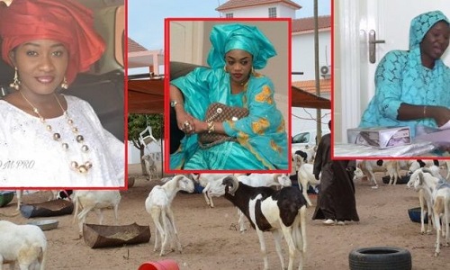 PHOTOS - Première Tabaski sans Cheikh Béthio Thioune: Découvrez ce que Sokhna Bator et Sokhna Adja Saliou ont fait pour Sokhna Aida Saliou