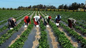 80 milliards FCfa de la BAD pour des projets agricoles et d’investissement