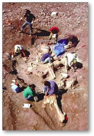 Découverte  d'un cimetière  du peuple des Titans "D'AAD" dans le désert Saoudien