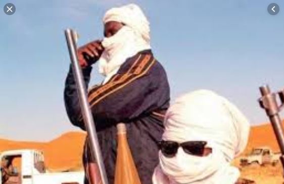 VIDEO - Mauritanie: infiltration de présumés djihadistes étrangers  dans le pays