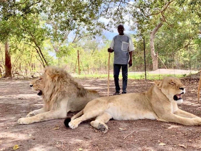 PHOTOS - Vacances gouvernementales : Aly Ngouille Ndiaye cherche la force chez les..lions avec sa famille