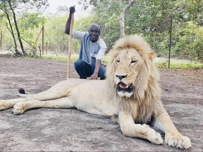 PHOTOS - Vacances gouvernementales : Aly Ngouille Ndiaye cherche la force chez les..lions avec sa famille