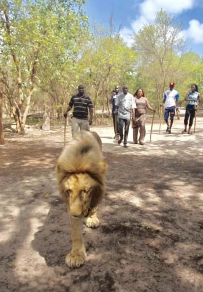 PHOTOS - Vacances gouvernementales : Aly Ngouille Ndiaye cherche la force chez les..lions avec sa famille