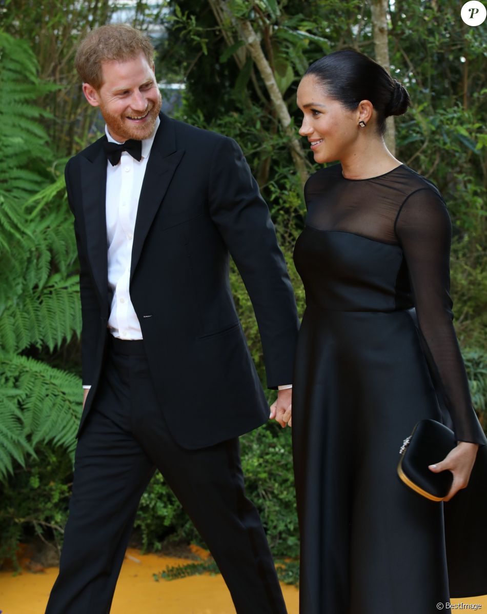 PHOTOS - Meghan Markle et le prince Harry : leur voyage secret en France très mal vu