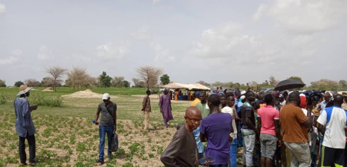 Hivernage: En tournée à Kaolack, le ministre de l'Agriculture exprime sa satisfaction Hivernage: En tournée à Kaolack, le ministre de l'Agriculture exprime sa satisfaction