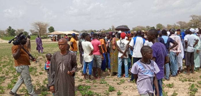 Hivernage: En tournée à Kaolack, le ministre de l'Agriculture exprime sa satisfaction Hivernage: En tournée à Kaolack, le ministre de l'Agriculture exprime sa satisfaction