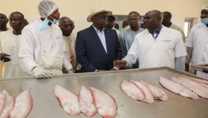 Sommet G7 : Le Président Macky SALL a rappelé les défis liés au secteur de la pêche, en Afrique, et au Sénégal en particulier