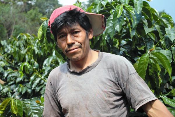 Pourquoi la forêt amazonienne brûle aussi en Bolivie Pourquoi la forêt amazonienne brûle aussi en Bolivie