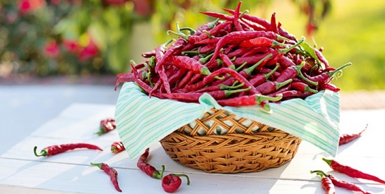 Vivre plus longtemps grâce au feu du piment