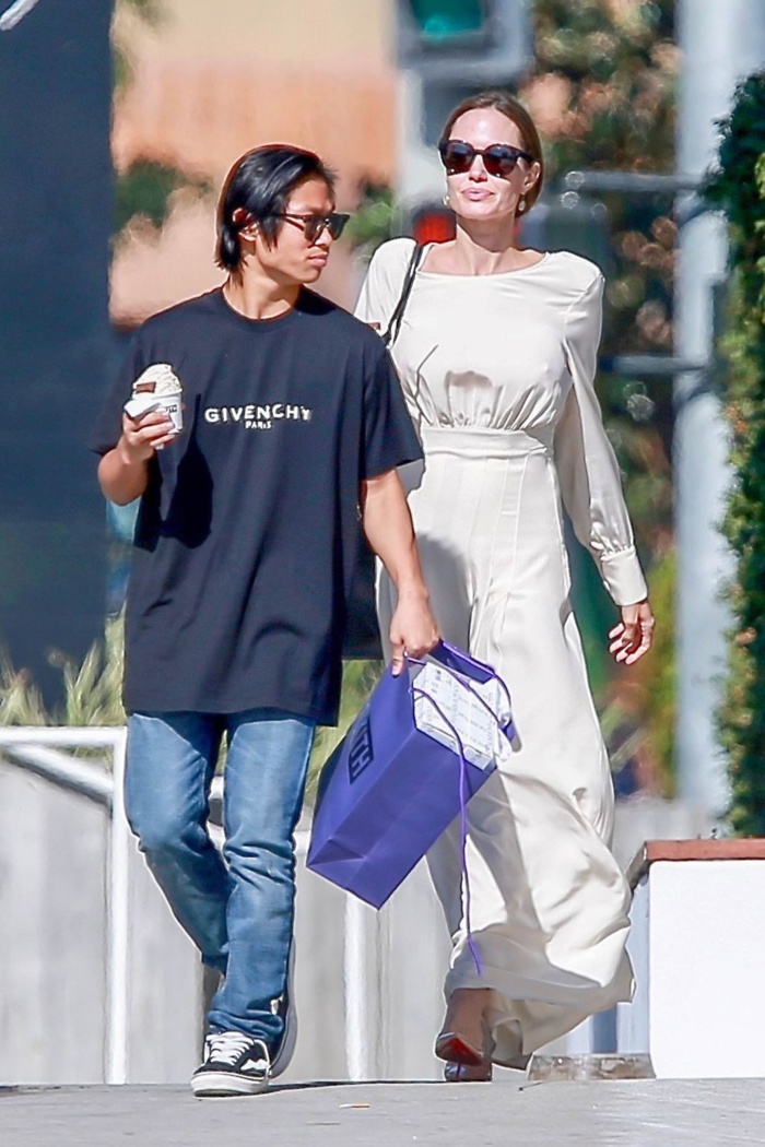 Angelina Jolie complètement dévastée d'être séparée de son fils Maddox