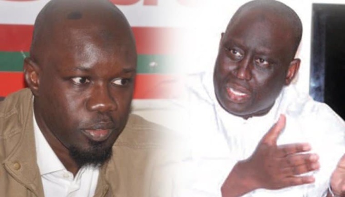 Le rapport de la Dic aurait blanchi Aliou Sall : Sonko raille la «farce»