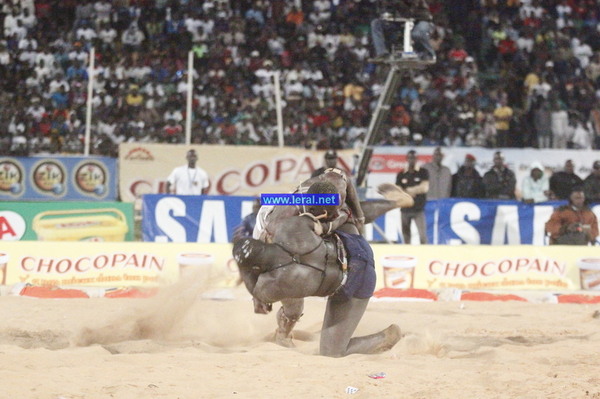 [Vidéos - Photos ] Lutte Victoire de Papa Sow sur Zoss 