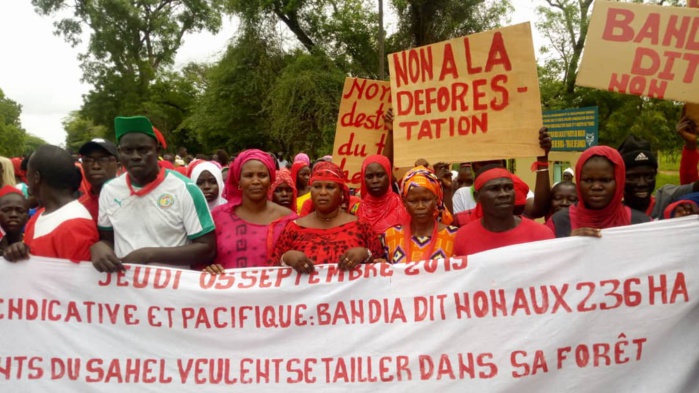 Bandia:Les populations dans la rue pour dire non aux 236 hectares de Layousse