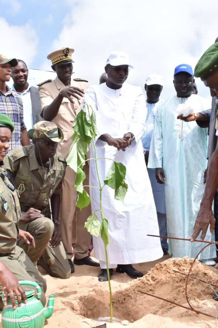 Reboisement à Diougop avec le ministre des Collectivités territoriales (PHOTOS)