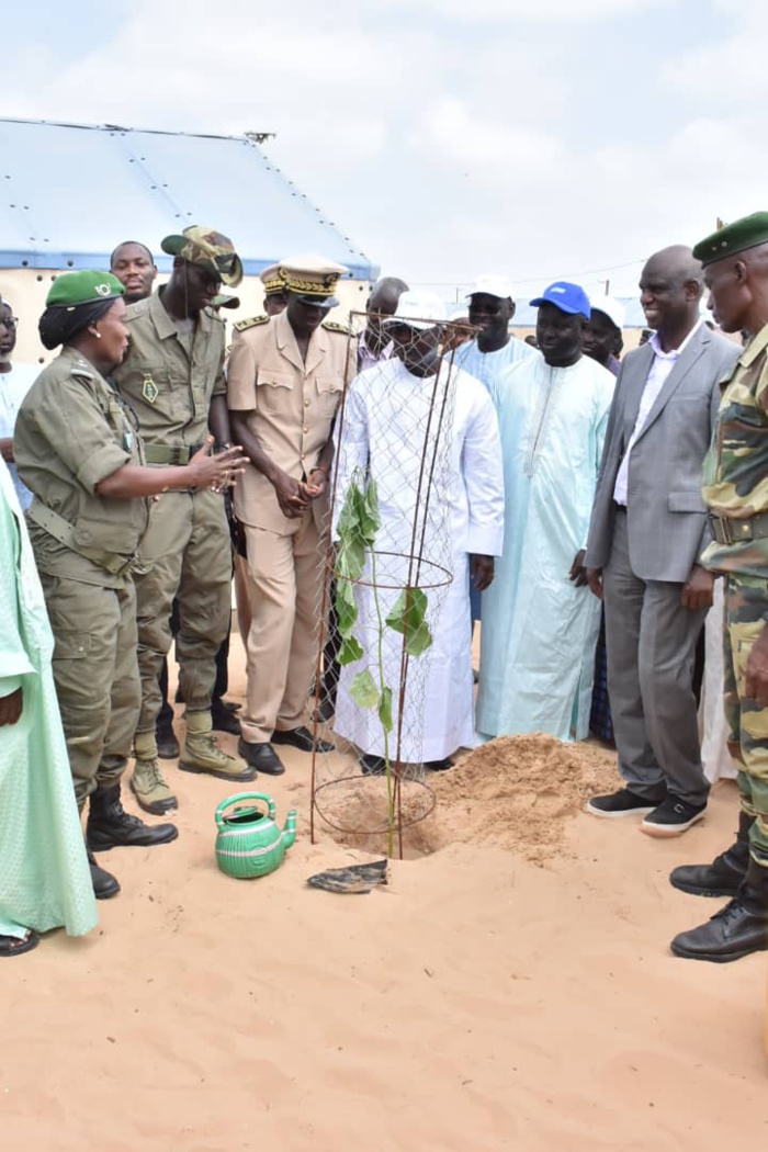 Reboisement à Diougop avec le ministre des Collectivités territoriales (PHOTOS)