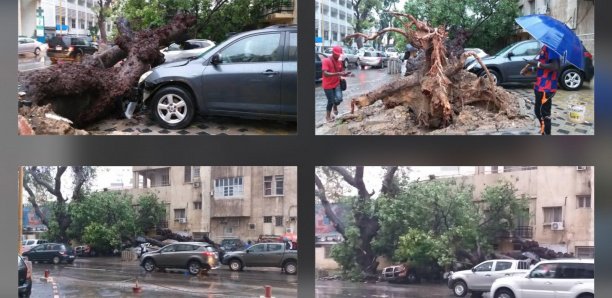 (Photos): Devant Sorano, un arbre déraciné par le vent, fait des dégâts