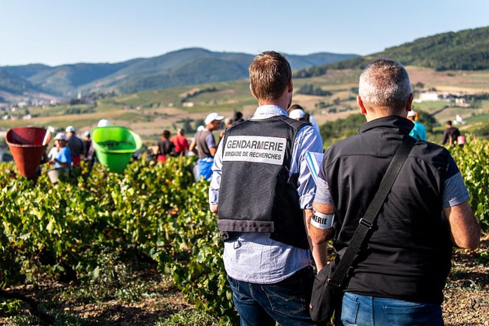 France: Un réseau qui exploitait une centaine de vendangeurs bulgares démantelé