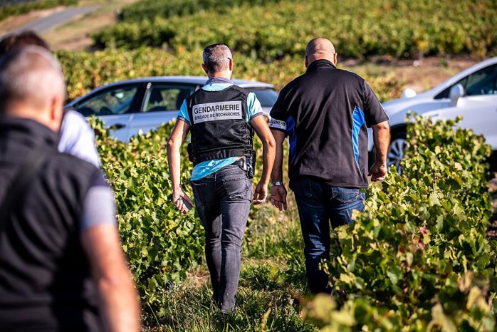 France: Un réseau qui exploitait une centaine de vendangeurs bulgares démantelé France: Un réseau qui exploitait une centaine de vendangeurs bulgares démantelé