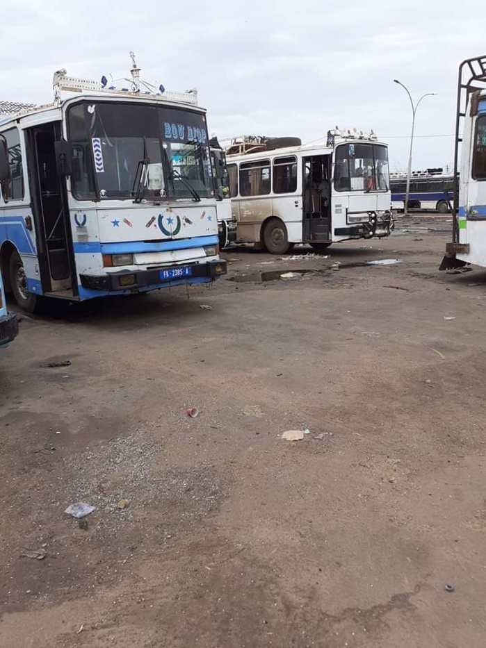 Kaolack: Rahma convoie une dizaine de cars pour assister à l'inauguration de "Massalikul Jinaan" Kaolack: Rahma convoie une dizaine de cars pour assister à l'inauguration de "Massalikul Jinaan"