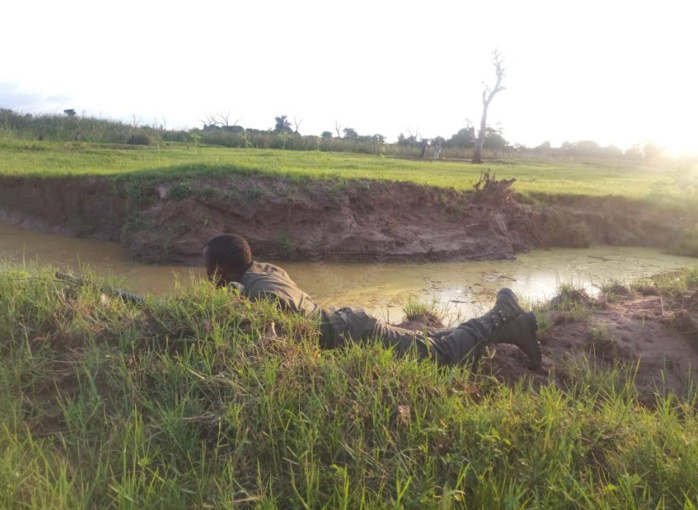 PHOTOS - La Brigade des Douanes de Karang saisit 391 kg de chanvre indien