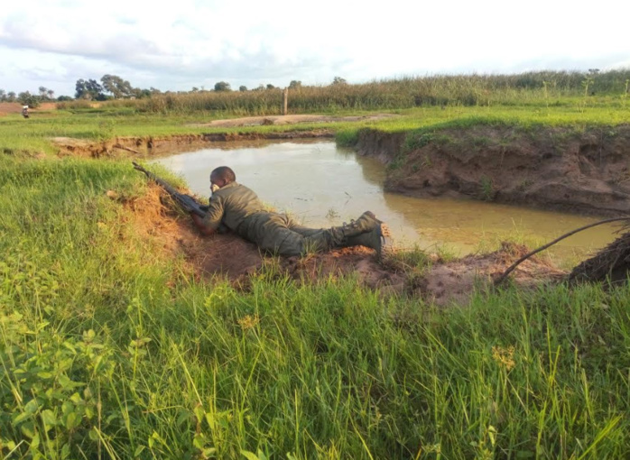PHOTOS - La Brigade des Douanes de Karang saisit 391 kg de chanvre indien