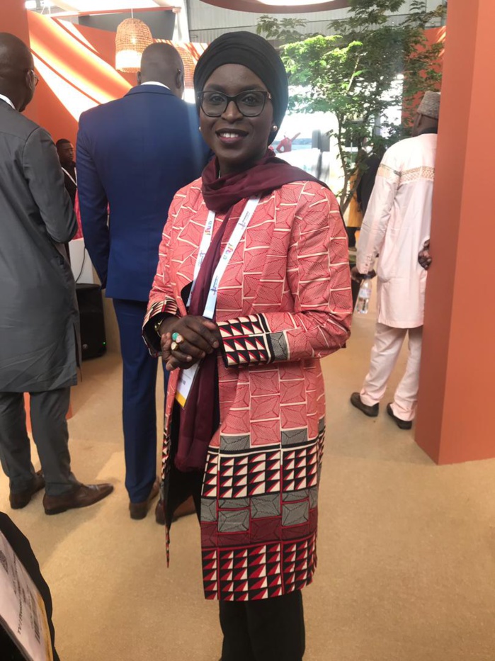 Oulimata Fall SARR, titulaire d’un Master en Arts, Lettres, Langues et Communication, spécialiste en appui au Secteur privé et Développement international est la Directrice de la Promotion touristique (DRT) au ministère du Tourisme et de Transports aériens.