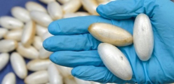 Italie: Un Sénégalais avale 10 boulettes de cocaïne pour…