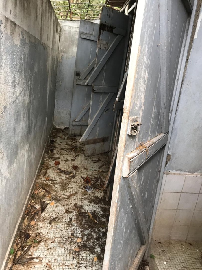 CEM Blaise Diagne : Les toilettes des élèves dans un piètre état, les autorités interpellées CEM Blaise Diagne : Les toilettes des élèves dans un piètre état, les autorités interpellées