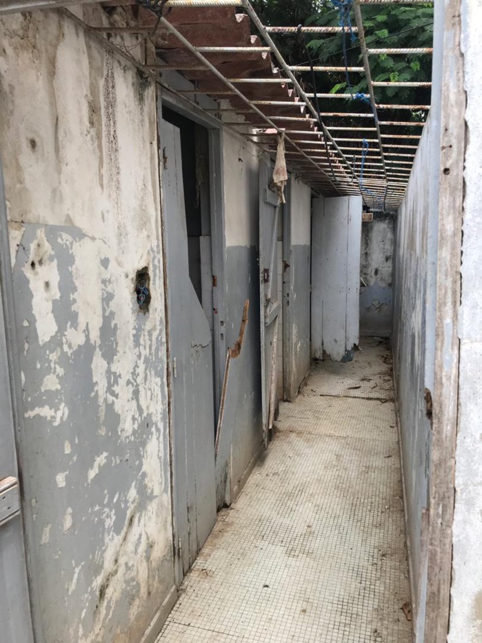 CEM Blaise Diagne : Les toilettes des élèves dans un piètre état, les autorités interpellées