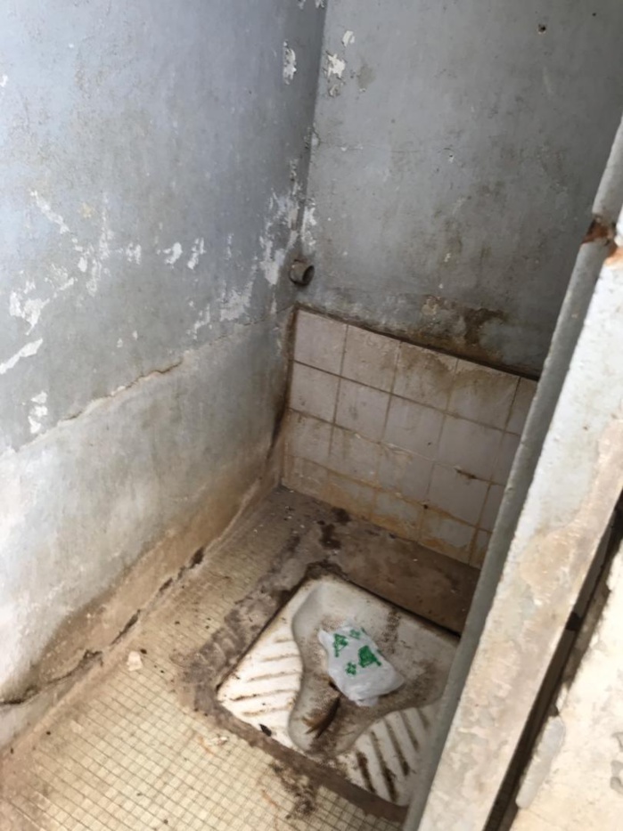 CEM Blaise Diagne : Les toilettes des élèves dans un piètre état, les autorités interpellées