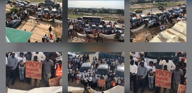 PHOTOS: Les partisans de Sonko avertissent Macky Sall