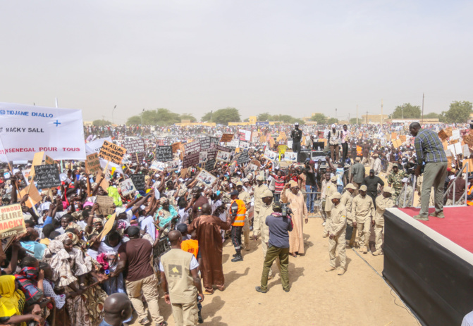 AFRICA OIL - GESTION DE L'ÉNERGIE : Les cadres et mouvements de développement du Walo félicitent le Président et expriment leur soutien total au Ministre Mouhamadou Makhtar Cissé.