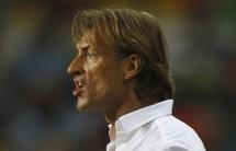 Renard pense au Sénégal