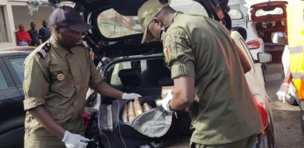 Port de Dakar : Nouvelle saisie record de drogue d'une valeur de 3 milliards F Cfa