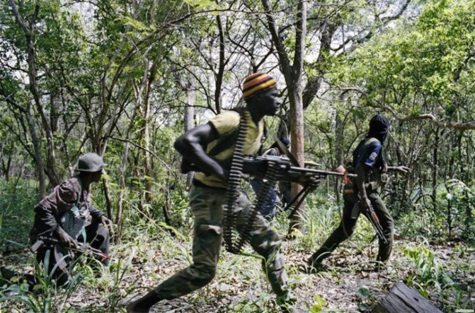 Paix en Casamance : importante rencontre ce jeudi à Sérékounda, en Gambie