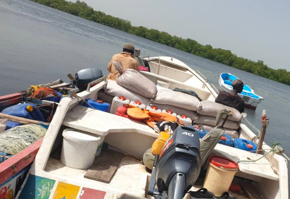 Axe Kaolack-Fatick : Nouvelle saisie de chanvre indien et de faux médicaments (Images)